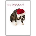 Christmas Card - Boston What a Year!?<br>Item number: DS3-20XMAS: Dogs Gift Products Greeting Cards 