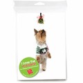 Consumer Friendly 10-pack - Yorkie Mistletoe<br>Item number: DS3-03XMAS: Dogs Gift Products Greeting Cards 
