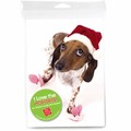 Consumer Friendly 10-pack - Dachshund bunny slippers<br>Item number: DS3-05XMAS: Dogs Gift Products Greeting Cards 