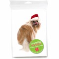 Consumer Friendly 10-pack - Shihtzu candy cane<br>Item number: DS3-06XMAS: Dogs Gift Products Greeting Cards 