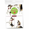 Consumer Friendly 10-pack - Beagle Jumping 4 squares<br>Item number: DS3-08XMAS: Dogs Gift Products Greeting Cards 