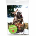 Consumer Friendly 10-pack - Aye Chihuahua<br>Item number: DS3-09XMAS: Dogs Gift Products Greeting Cards 