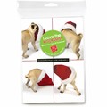 Consumer Friendly 10-pack - Pug 4 squares SNIFF<br>Item number: DS3-21XMAS: Dogs Gift Products Greeting Cards 