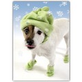 Love Card - Jack you melt me<br>Item number: DS2-03LOVE: Dogs Gift Products Greeting Cards 