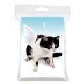 Cat Mini blank card pack #1<br>Item number: MINIBLANKKITTYPACK: Dogs Gift Products Greeting Cards 