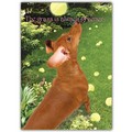 Miscellaneous Card - Grass is Greener<br>Item number: DS2-03MISC.: Dogs Gift Products Miscellaneous Gift Products 