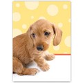 Miscellaneous Card - Itzy Bitzy Teenie Wienie<br>Item number: DS2-04MISC.: Dogs Gift Products Greeting Cards 