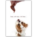 Pet Sitter Card<br>Item number: DS2-01PETSITTER: Dogs Gift Products Greeting Cards 