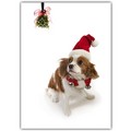 Christmas Card - Cavalier Mistletoe<br>Item number: DS3-14XMAS: Dogs Holiday Merchandise Christmas Items 