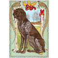 German Shorthaired Pointer<br>Item number: C951: Dogs Holiday Merchandise Holiday Greeting Cards 