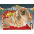 Pekingese<br>Item number: C955: Dogs Holiday Merchandise Holiday Greeting Cards 