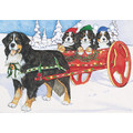 Bernese Mt Dogs<br>Item number: C965: Dogs Holiday Merchandise Holiday Greeting Cards 