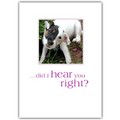 Birthday Card - Jack Head Tilt<br>Item number: DS1-02BIRTH: Dogs Holiday Merchandise Birthday Items 