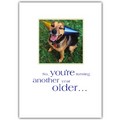 Birthday Card - Mutt w/ Birthday Hats<br>Item number: DS1-03BIRTH: Dogs Holiday Merchandise Birthday Items 