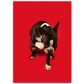 Birthday Card - Boston Terrier red bkgd<br>Item number: DS2-05BIRTH: Dogs Holiday Merchandise Birthday Items 