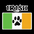 Irish Flag with Paw Doggy Tank: Dogs Pet Apparel Tanks 