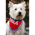 100 % American Pure Bred: Dogs Pet Apparel Bandanas 