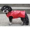 Classic Trench Red: Dogs Pet Apparel Coats 
