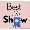 Best In Show: Dogs Pet Apparel Tanks 