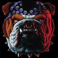 Tough Bulldog Big Doggy Tank XXL-6XL: Dogs Pet Apparel Tanks 
