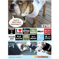 Doggie Tee - Bad To Da Bone: Dogs Pet Apparel T-shirts 