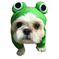 Froggy Pajama: Dogs Pet Apparel Costumes 