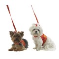 Harness Vest/Leash Set - Garden Print: Dogs Pet Apparel Vests 