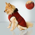 Quilted Velvet Coat - Burgundy: Dogs Pet Apparel Coats 