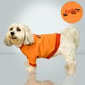 Halloween Sweatshirt: Dogs Pet Apparel T-shirts 