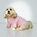 Pink Velour Top: Dogs Pet Apparel T-shirts 