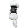Royal Flight Jacket: Dogs Pet Apparel Coats 