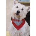 Houndstooth: Dogs Pet Apparel Scarfs 