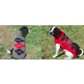 Classic Argyle Sweater: Dogs Pet Apparel Sweaters 