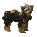 Von Trapp Coat: Dogs Pet Apparel Coats 