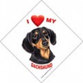 Auto Attitudes Car Signs with suction cup - 6 per case (Breeds D-P): Dogs Products for Humans For the Car 