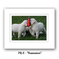 "Possession" Double Matted Prints 8x10