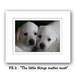 "The Little Things Matter Most" Double Matted Prints 16x20