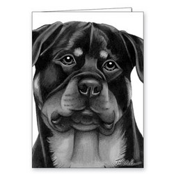 Dog Black and White Greeting Cards - 5" x 7" (2/Case) (Breeds Rottweiler-Yorkie)