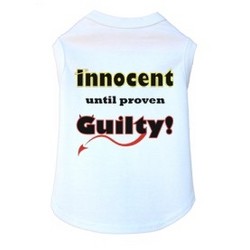 Innocent Until Proven Guilty - Dog Tank