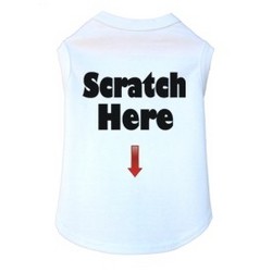 Scratch Here- Dog Tank