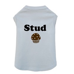 Stud Muffin- Dog Tank