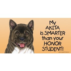 My (dog) is smarter than your honor student Car Magnets - 4/Case