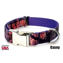 Casey Collar/Lead