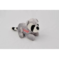 Dog Toy - Ganef the Racoon - Includes 3 toys/case