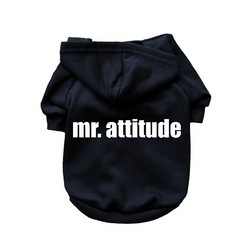 Mr. Attitude- Dog Hoodie