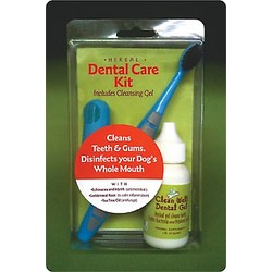 Herbal Dental Kit