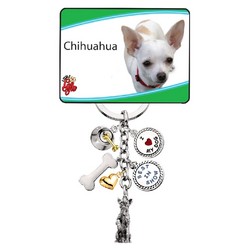 6 Charm Breed Specific Key Chain (V3)