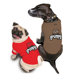 Doggie Sweatshirt - Grumpy