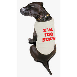 Doggie Sweatshirt - I'm Too Sexy