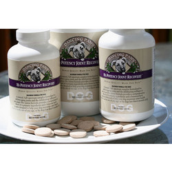 Hi-Potency Joint Recovery for Dogs